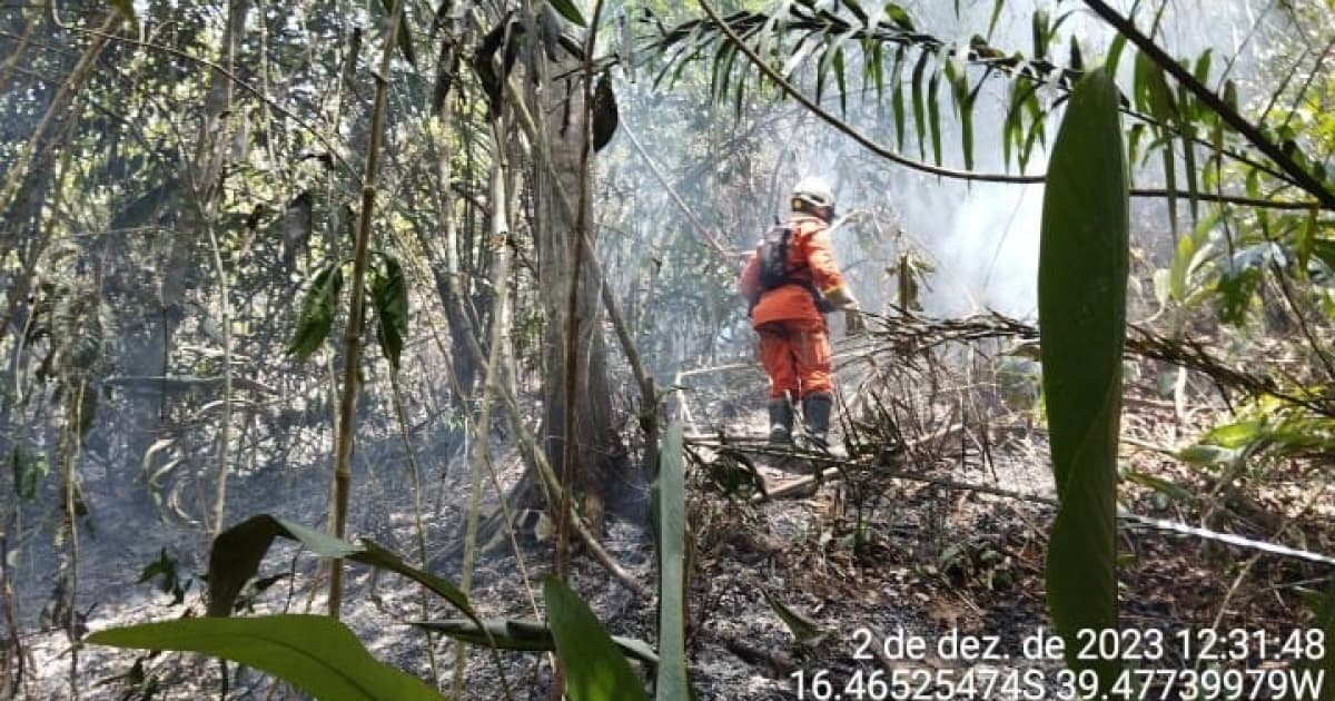 Incêndio florestal atinge município de Mundo Novo; 200 bombeiros estão espalhados em ocorrências na Bahia