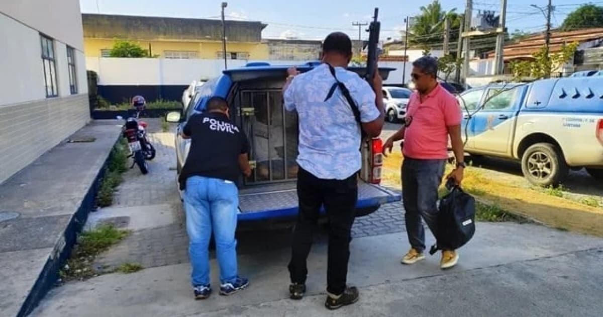 Acusado de duplo homicídio é preso em operação policial em Feira de Santana