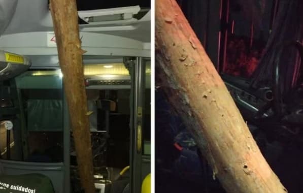 Motorista de ônibus fica ferido após tora de eucalipto invadir frente de veículo na Bahia 