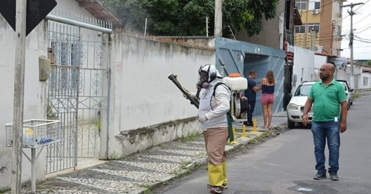 Com 72 casos de dengue, Feira de Santana confirma primeira internação com quadro hemorrágico