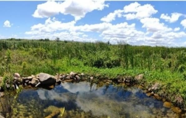 Aldeia Xucuru-Kariri luta por acesso à água e demarcação de terra às margens do São Francisco 