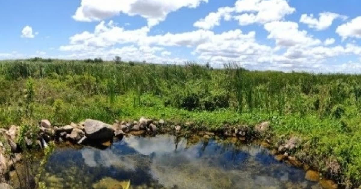 Aldeia Xucuru-Kariri luta por acesso à água e demarcação de terra às margens do São Francisco 