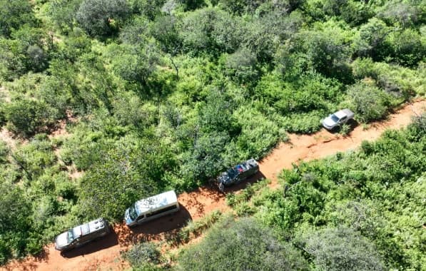 Operação prende cinco em ações de erradicação de maconha no Norte da Bahia
