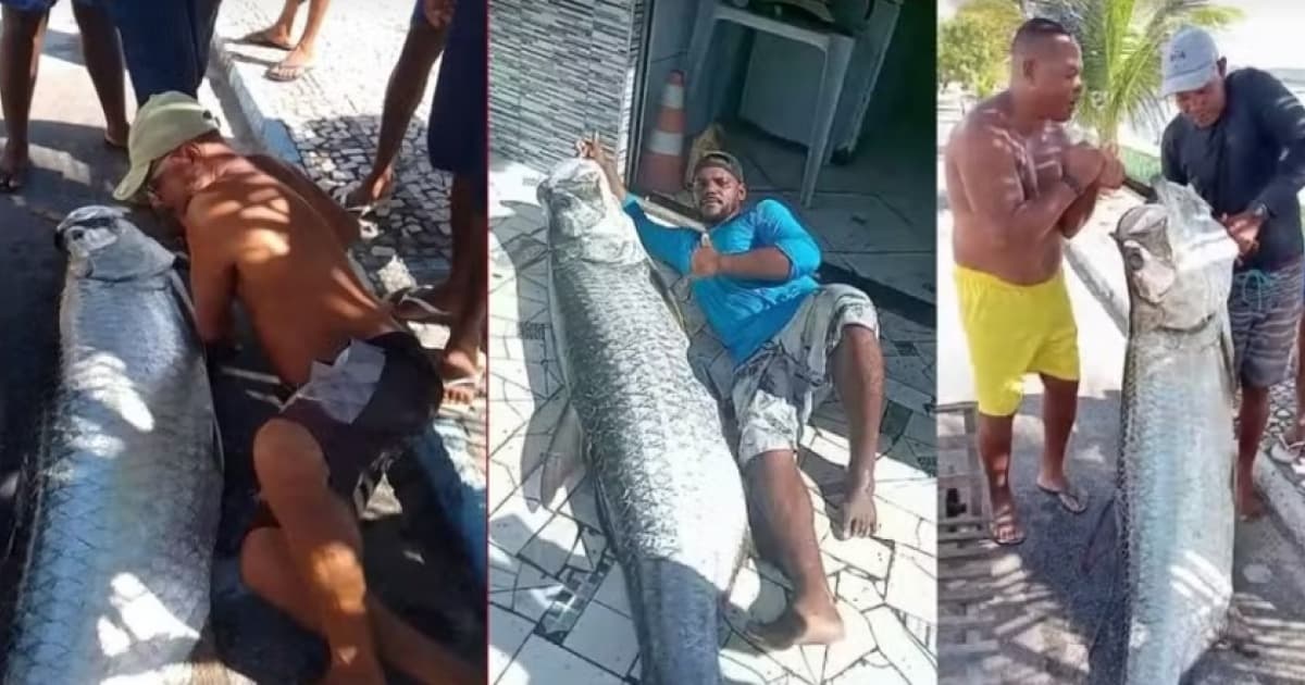 Pescador pesca peixe de quase 2 metros e 120 kg no Recôncavo baiano