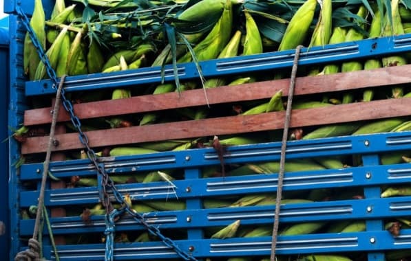 Agronegócio representa 13,7% da economia baiana no 1º trimestre de 2024