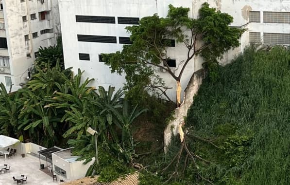 VÍDEO: Árvore se parte e derruba pedaço do muro do Clube Bahiano de Tênis