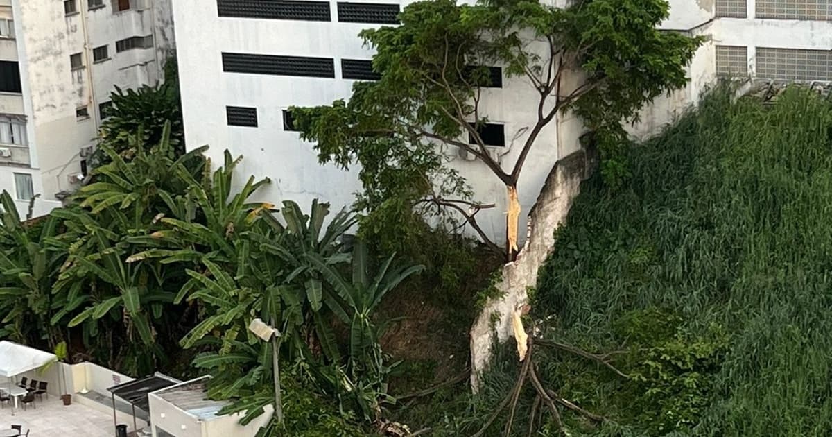 VÍDEO: Árvore se parte e derruba pedaço do muro do Clube Bahiano de Tênis