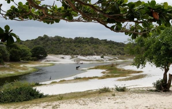 Justiça determina suspensão imediata das intervenções na Lagoa do Abaeté