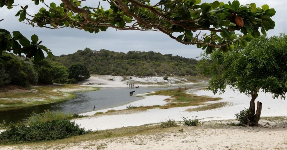 Justiça determina suspensão imediata das intervenções na Lagoa do Abaeté