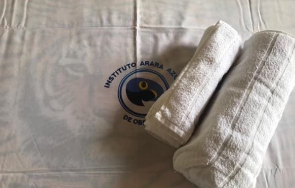 Instituto Arara Azul: Fechada por irregularidade, clínica em Busca Vida obtém alvará que não prevê internações