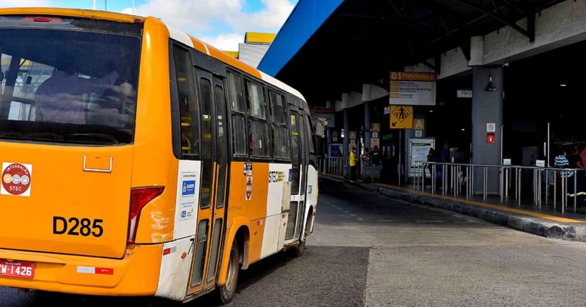 Sistema complementar de transporte em Salvador, ônibus amarelinho