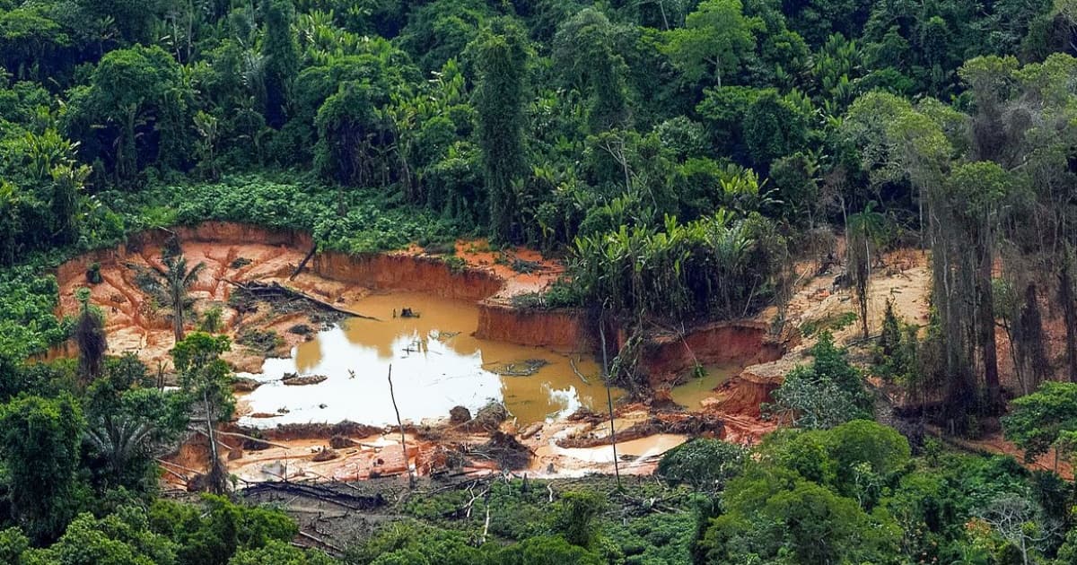 Mulher é encontrada morta em Terra Indígena Yanomami