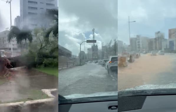 VÍDEO: Chuva derruba árvore e causa pontos de alagamentos em vias de Salvador