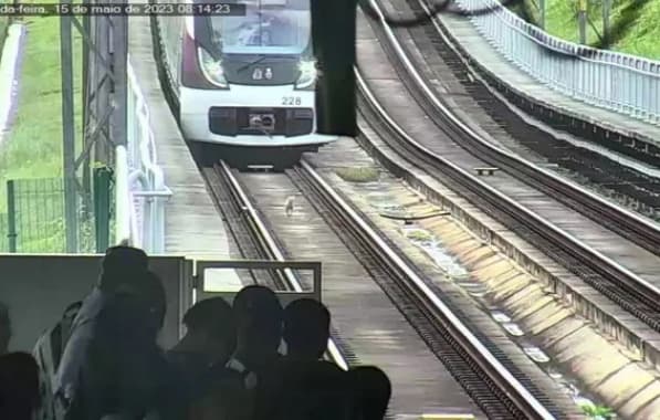 Cachorro invade trilhos da linha 2 e provoca lentidão no metrô