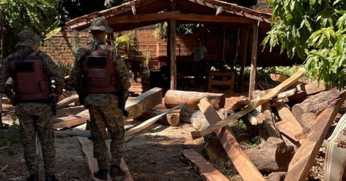 Serraria ilegal de madeira nativa é descoberta no interior da Bahia