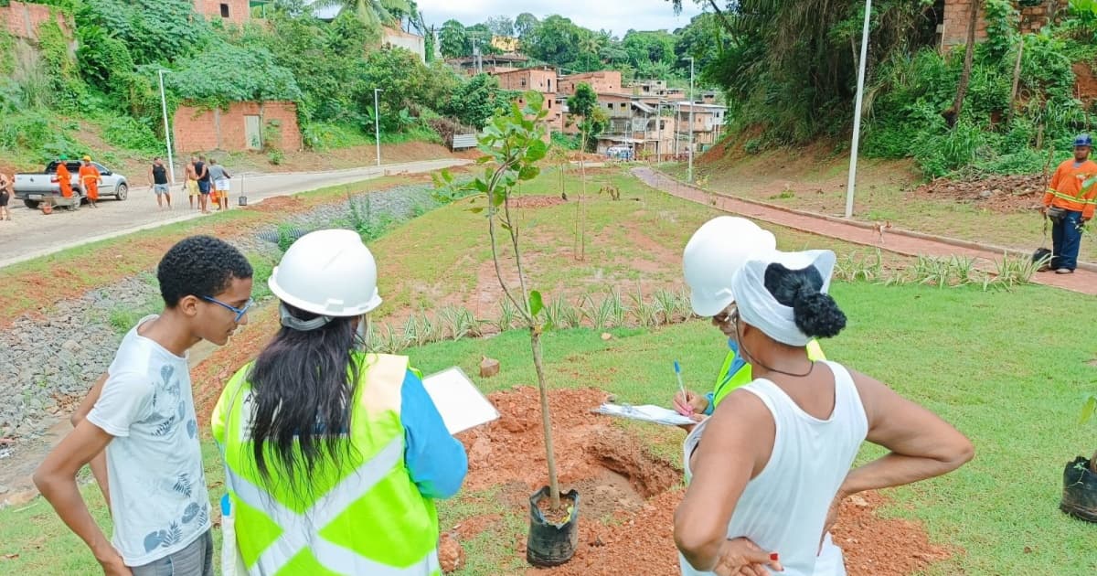 Novo Mané Dendê realiza plantio de mais de 200 mudas de árvores no Subúrbio Ferroviário