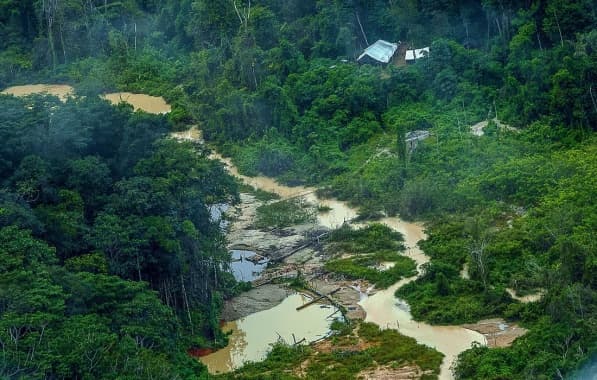 Pela primeira vez em 3 anos, Terra Yanomami zera alertas de garimpos ilegais, indica PF