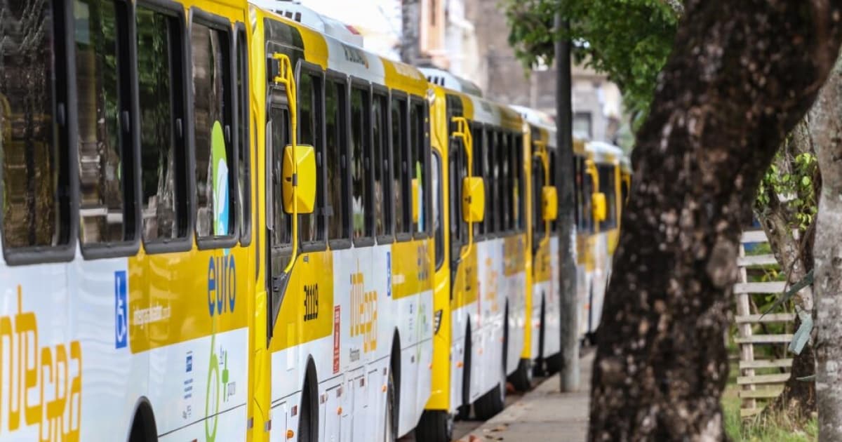 Linhas de transporte serão alteradas em dois bairros de Salvador a partir de hoje; confira