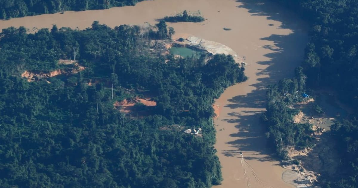 Acordo na Cúpula deve evitar ponto de não retorno da Amazônia