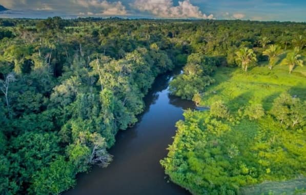 Cúpula da Amazônia comandada por Lula é destaque de semana com mercado de olho na ata do Copom e inflação 