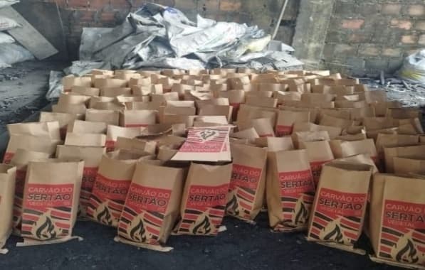 Coppa apreende dois mil sacos de carvão vegetal em Salvador