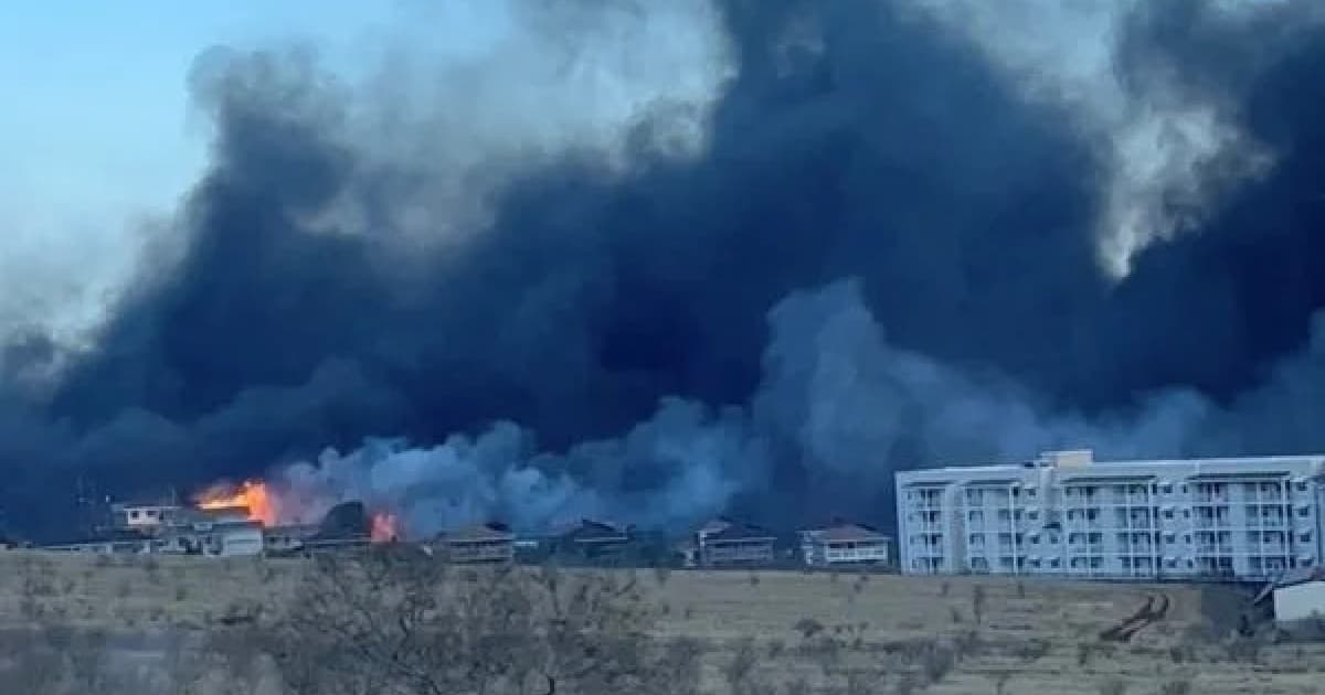 Incêndios florestais no Havaí