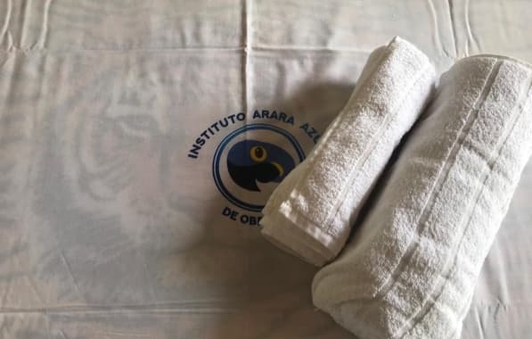 Instituto Arara Azul tenta na Justiça obrigar Condomínio Busca Vida a permitir atuação irregular