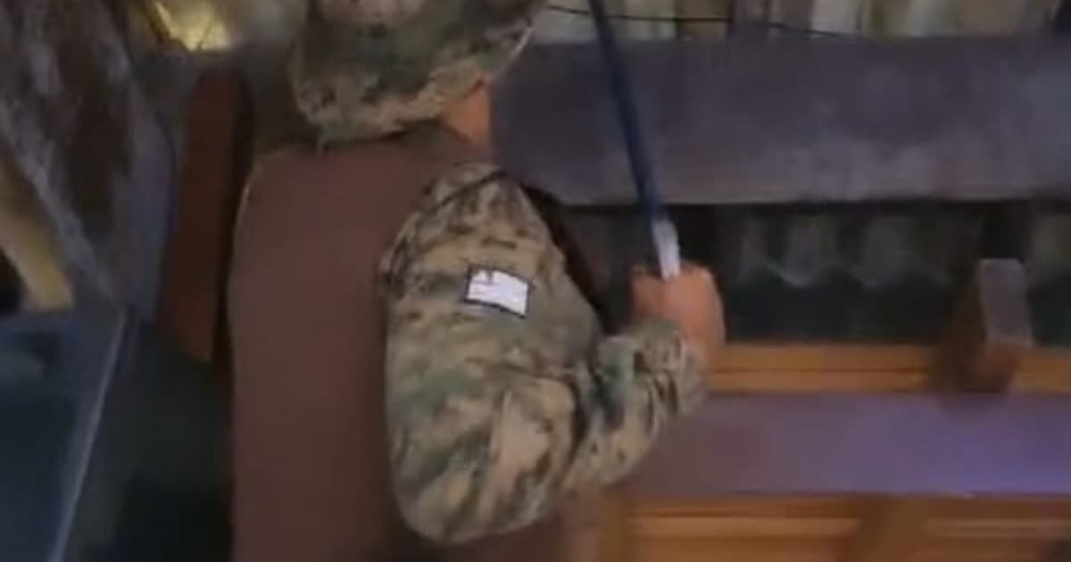 VÍDEO: jiboia é capturada em telhado de restaurante em Stella Maris