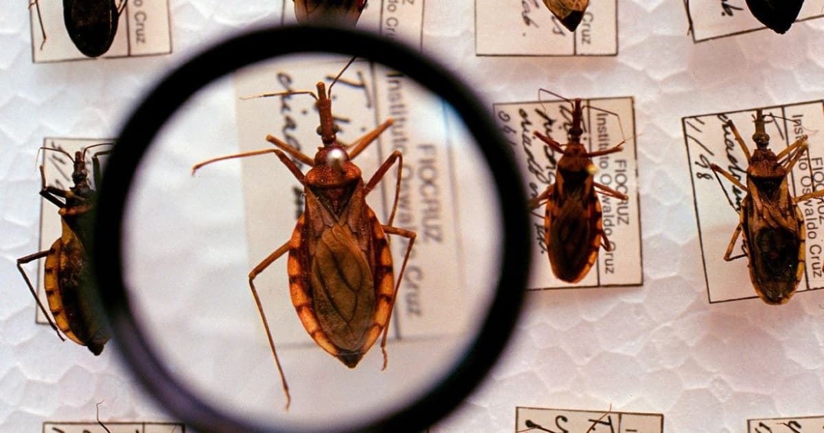 Plataforma pretende reunir pesquisas sobre a Doença de Chagas