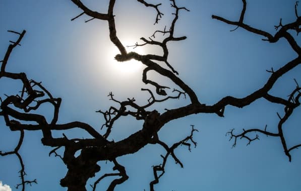 Onda de calor: Brasil registra recorde da temperatura média pelo quarto mês seguido