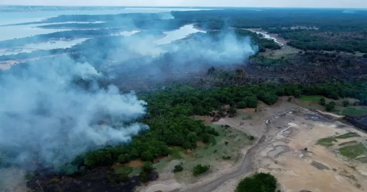 MPF pede que governo do Amazonas detalhe ações de combate a incêndios