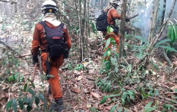 Mais 50 bombeiros militares e 10 viaturas seguem para dar apoio a incêndios no sul da Bahia