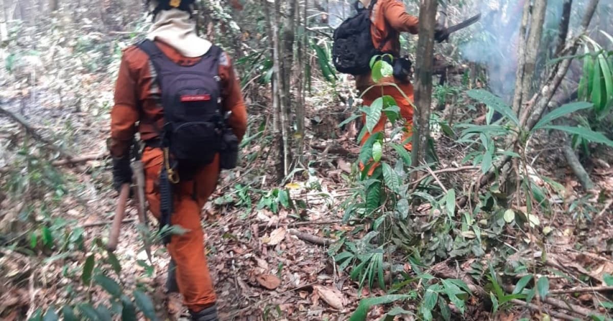 Bombeiros combatendo as chamas em floresta