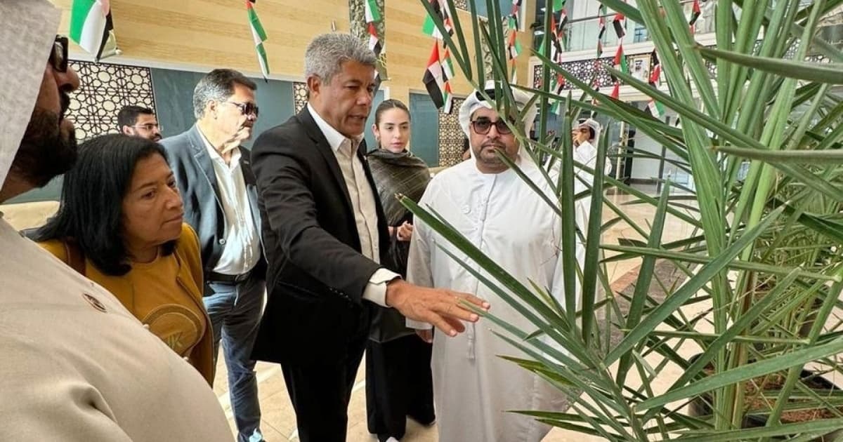 Nos Emirados Árabes, Jerônimo Rodrigues visita plantação de tâmaras que poderão ser produzidas na Bahia 