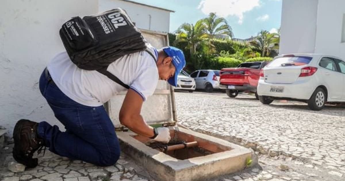 Focos de combate ao mosquito da dengue, hotéis e pontos turísticos de Salvador são alvos de inspeções