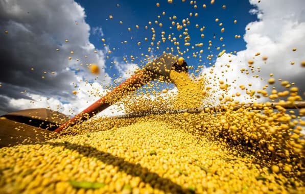 Mesmo com queda nos preços da soja, algodão e café, PIB do agronegócio baiano soma R$ 18,4 bilhões no terceiro trimestre