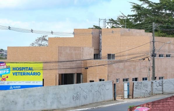 Obras no Hospital Municipal Veterinário de Salvador entram na reta final de conclusão 