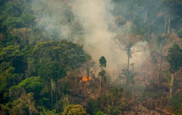 Amazônia bate recorde de focos de incêndio para o mês de fevereiro, mostra Inpe