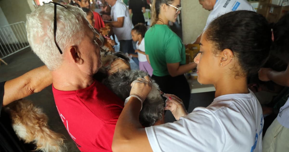 Cajazeiras recebe mutirão de vacina V10 gratuita para cães na próxima terça 