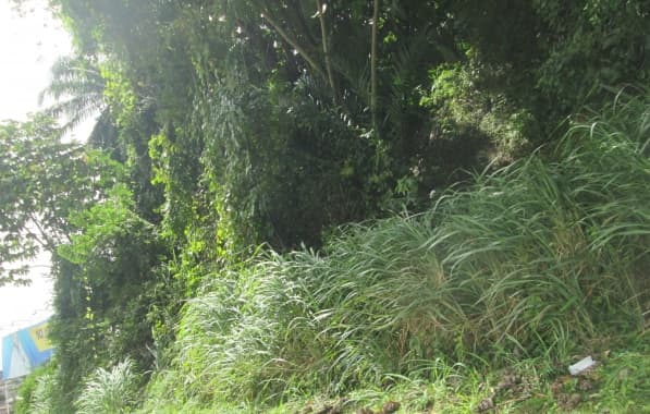 Terreno na área verde do Itaigara é vendido por quase R$ 6 mi pela prefeitura de Salvador