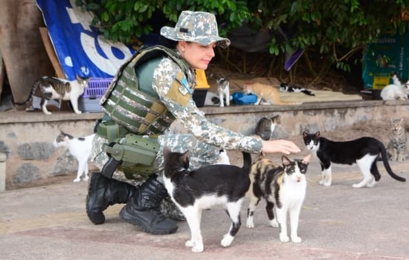 Gatos de colônia de Piatã serão transferidos nesta terça; espaço terá câmeras para evitar novos abandonos