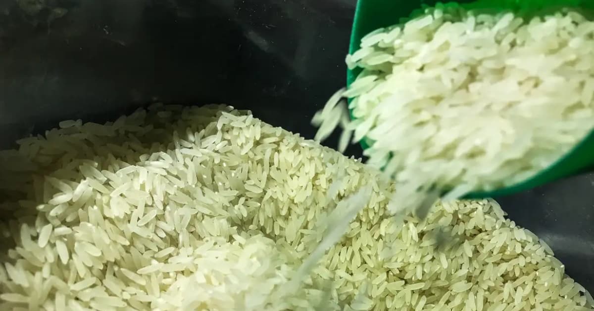 TRF suspende liminar que impedia o leilão do governo para comprar arroz. 