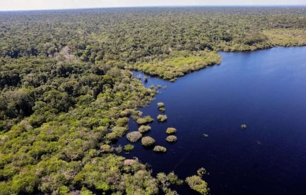 União Europeia anuncia doação de R$ 120 milhões ao Fundo Amazônia