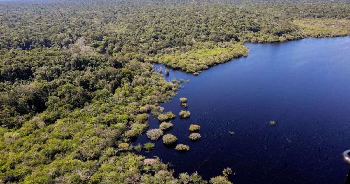 União Europeia anuncia doação de R$ 120 milhões ao Fundo Amazônia