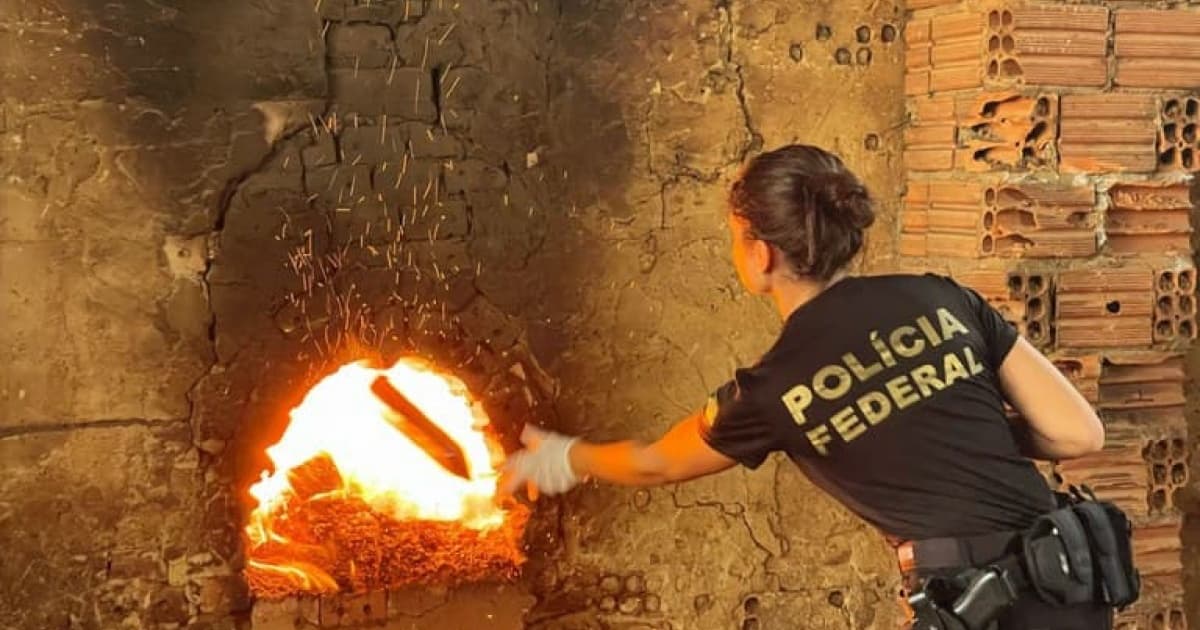 PF incinera 3,8 toneladas de drogas em Salvador e na Região Metropolitana 