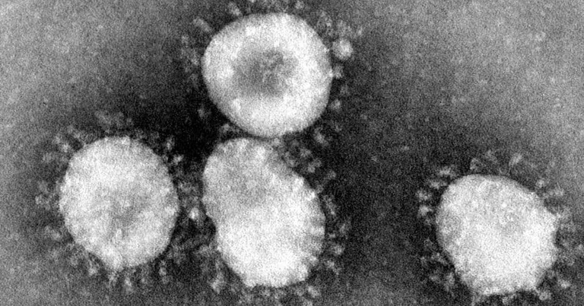 Bahia possui 20 casos suspeitos do novo coronavírus sob investigação, atualiza Sesab
