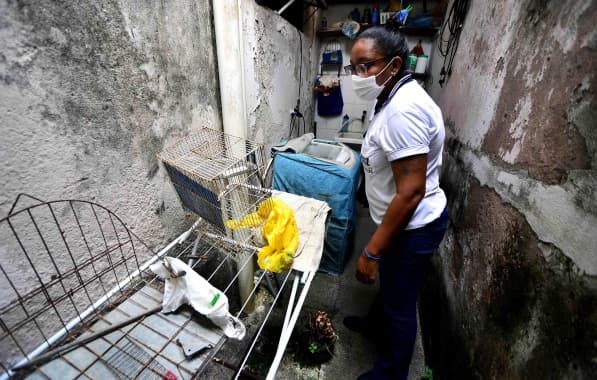 SMS inicia “Semana Municipal de Mobilização contra o Aedes aegypti” nesta segunda-feira em Salvador