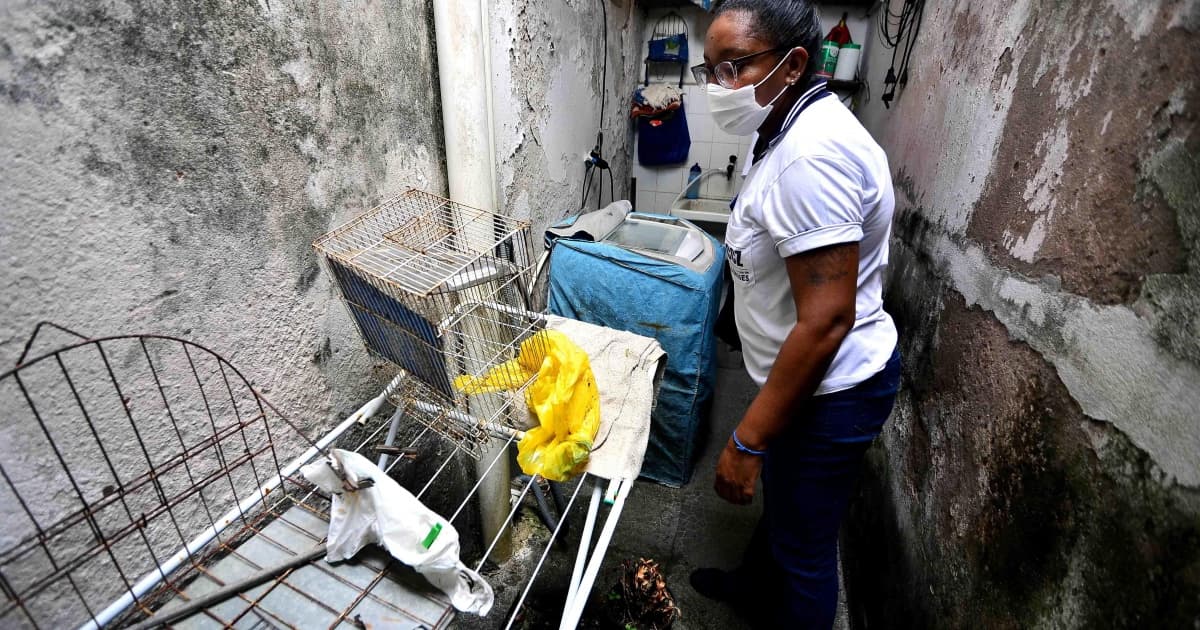 SMS inicia “Semana Municipal de Mobilização contra o Aedes aegypti” nesta segunda-feira em Salvador