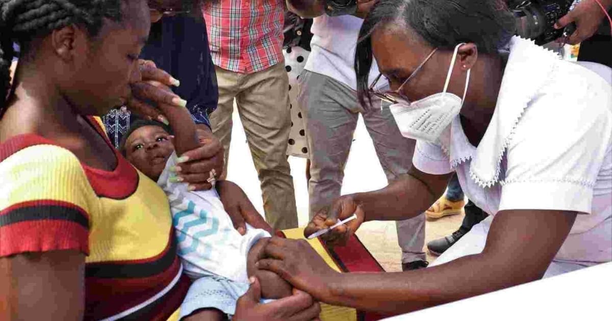OMS anuncia recomendação de nova vacina contra malária