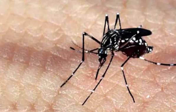 Mais de 1,5 milhão de casos de dengue no país até agosto, aponta Ministério da Saúde